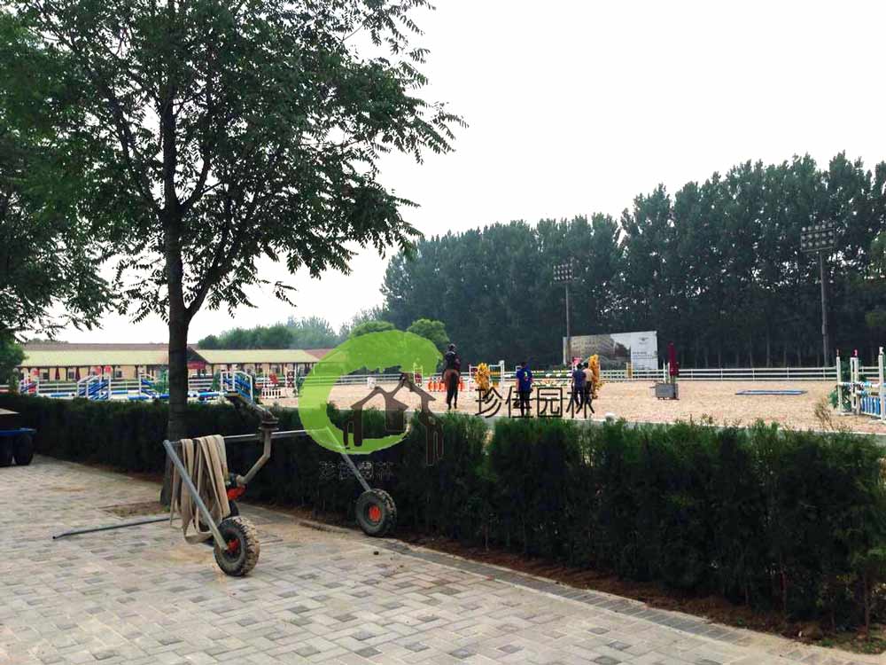 世界杯官网登陆中心