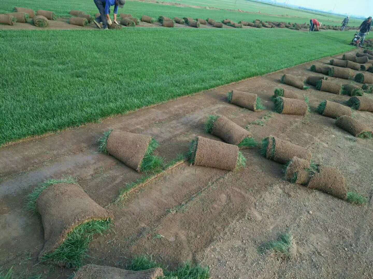 世界杯官网登陆中心